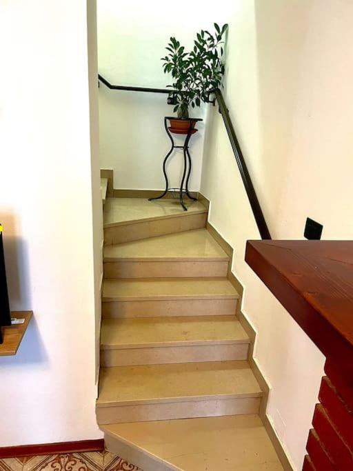 Casa Vacanze Ca' Di Lucchini San Benedetto Val di Sambro Buitenkant foto